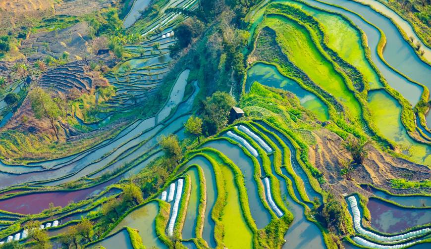 走进秦州区TVC拍摄：解锁本地化场景与创意镜头的完美融合
